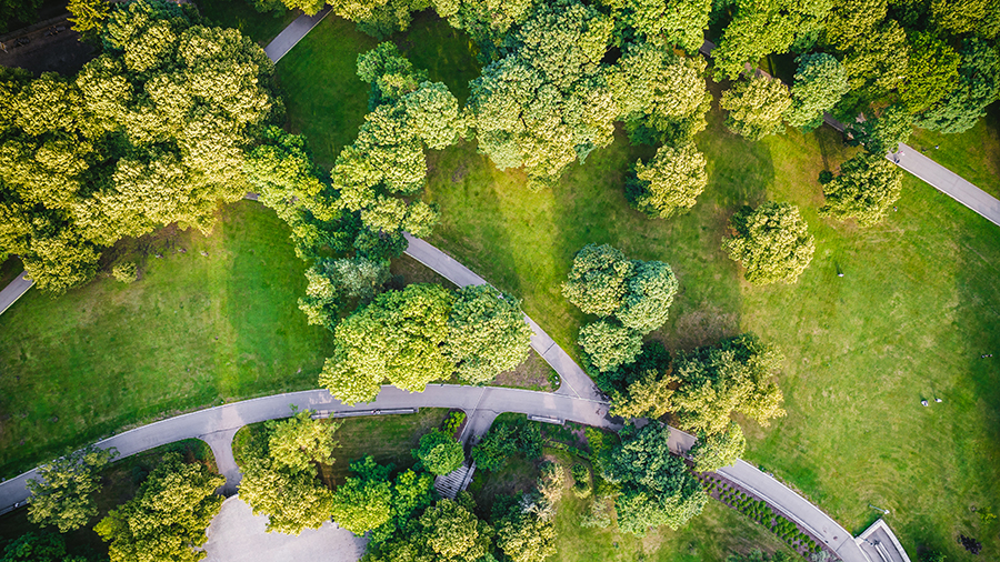 Top view aerial photo from flying drone of a city park with walking path and green zone trees in evening time; Shutterstock ID 690623500; po: -; job: -; client: -; name: -