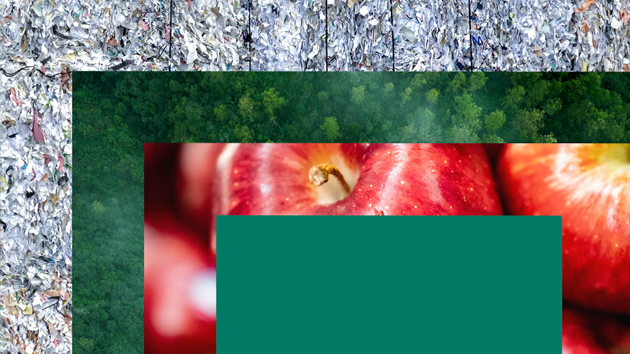 Thumbnail image for Apollo’s 2023 Annual Impact Report, highlighting the Apollo Impact Mission platform focused on private equity investments that deliver measurable social and environmental impact alongside financial returns.